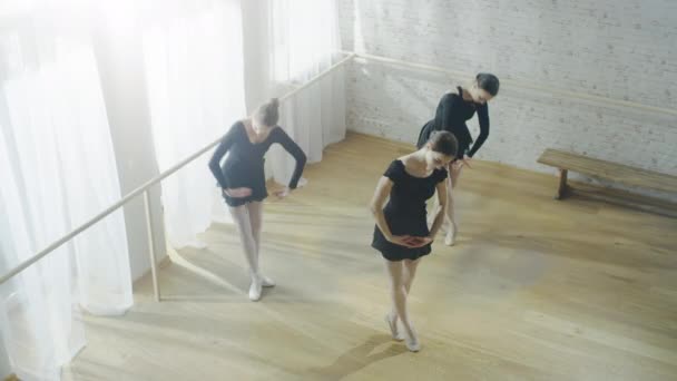 Ballerinas Practicing Synchronous Dancing. — Stock Video