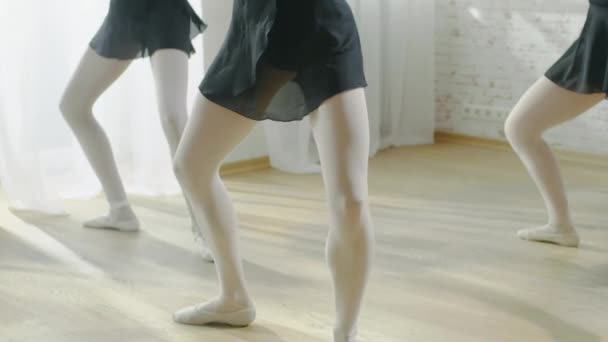 Anmutige Ballerinen üben Tanz. — Stockvideo