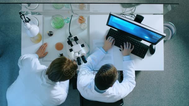 Vista superior de dos científicos discutiendo datos que recopilaron de un plato de Petri, utilizan microscopio e ingresan datos en su computadora personal . — Vídeos de Stock