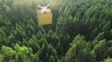 Paketi teslim yaz orman üzerinde uçan bir dronun hava atış. 