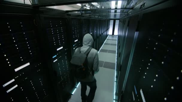 Säkerhet kamera film av Hacker i en Hoodie Inflitrating datacenter, med sin Laptop som han ansluter till en av rackservrar. — Stockvideo