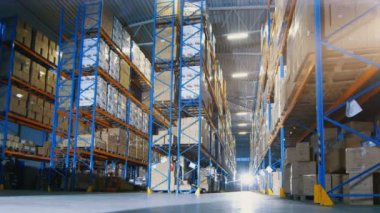 Hızlandırılmış bir çalışma gün büyük Modern depo içinde. Bilirkişi, müfettişleri ve yükleyici ile yan yana ağır makine çalışma, forklift kamyon gibi.