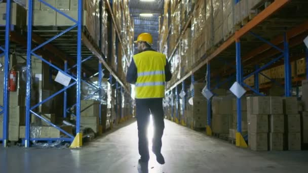 Berikut Shot of a Warehouse Worker Wearing Hard Hat Walking Through Rows of Storage Racks . — Stok Video