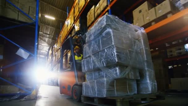 Professional Driver Operates Forklift Truck with Cargo in Big Warehouse. — Stock Video