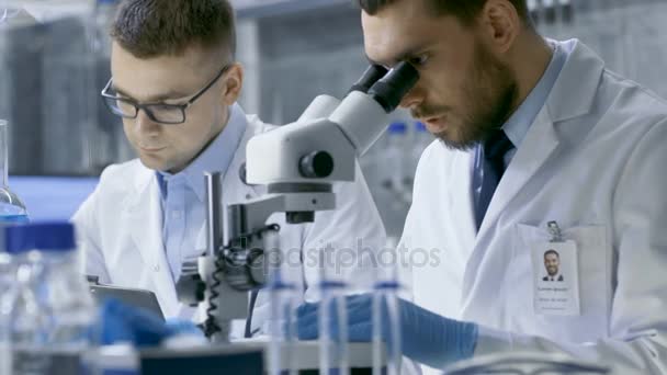 In einem modernen Labor führen zwei Wissenschaftler Experimente durch. Forschungsleiter diktiert seinem Assistenten die Ergebnisse, die er im Mikroskop sieht. — Stockvideo