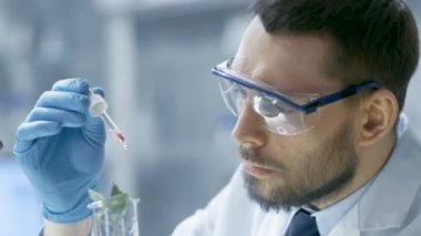 Bir Modern laboratuvar gıda bilim adamı yürüten deneylerde kullanımı Damlalık ve tüp bebek fabrikasında sentezleme bileşikler tarafından.