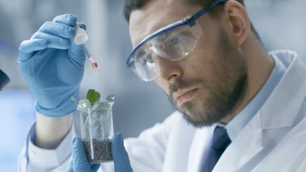 В современной лаборатории пищевые ученые проводят эксперименты путем синтеза соединений с использованием капельницы и растения в пробирке . — стоковое видео