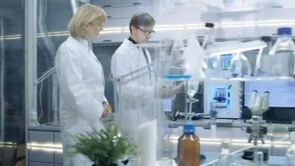 Kadın ve erkek üst düzey bilim ile meşgul Modern laboratuvar yürüme. Belge hakkında tartışma var. — Stok video