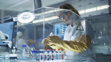 Üst düzey kadın Epidemiyolog yalıtım torpido örnekleri ile çalışır. O bir Modern, meşgul laboratuarda en son teknoloji ile donatılmış.