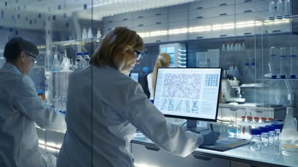 Kvindelige og mandlige forskere arbejder på deres computere i Big Modern Laboratory. Forskellige hylder med bægre, kemikalier og forskelligt teknisk udstyr er synligt . – Stock-video