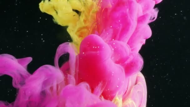 Pink dan Yellow Ink Shoots into Tank with Black Water . — Stok Video