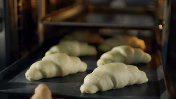 Professionele Baker zet Croissants in Oven. — Stockvideo