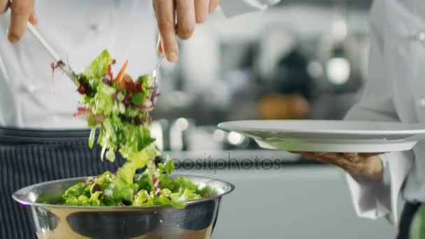 In einem berühmten Restaurant bereitet ein Koch Salat zu und legt ihn auf einen Teller. Arbeiten in einer großen modernen Küche. — Stockvideo