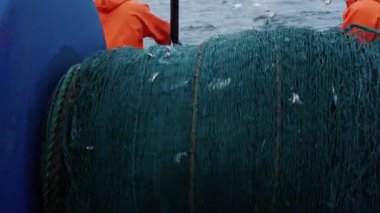 Balıkçı Tayfası Trol Ağlarını Çeken Ticari Balıkçılık Gemisi üzerinde çalışıyor