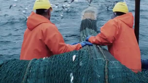 Tripulação de pescadores Trabalhar no navio de pesca comercial que puxa rede de arrasto — Vídeo de Stock