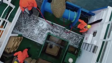 Uçan üzerinde bir ticari balıkçılık gemi burada balık işleme kişi. Yukarıdan aşağıya görünümü.