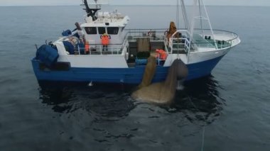 Uçan çevresinde ticari balıkçılık gemiyle sürütme Net balıklarla dolu