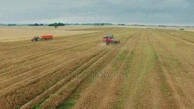 Onun yük traktör bekliyor iken bir alan üzerinde bir hasat hava atış.