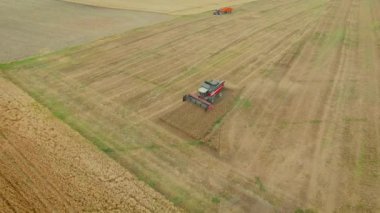 Hasat toplar tahıl traktör römork ile onun kargo için beklerken ürünleri. Hava atışı.