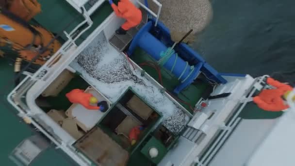 Zoom Fuera de un barco de pesca comercial donde la gente que procesa el pescado. Vista de arriba hacia abajo . — Vídeo de stock