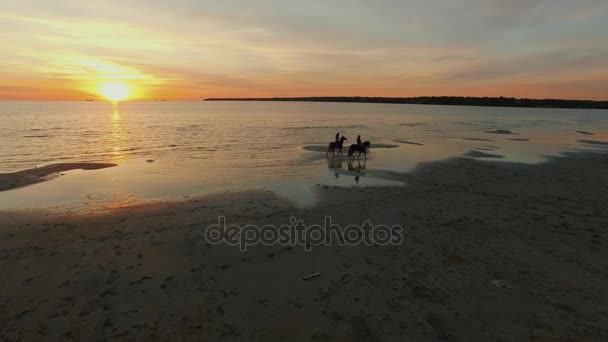 Aerial Shot of Two Girls Riding Horses on the Beach (en inglés). Caballos caminando sobre el agua . — Vídeos de Stock