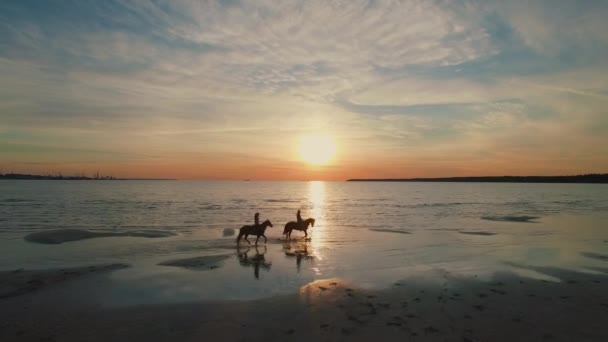 Dos chicas montan a caballo en una playa. Los caballos caminan sobre el agua. Hermosa puesta de sol se ve en esta toma aérea . — Vídeos de Stock