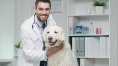 Veteriner kliniğinde. Veteriner köpeği inceler ve köpek vuruş. Ağır çekimde.