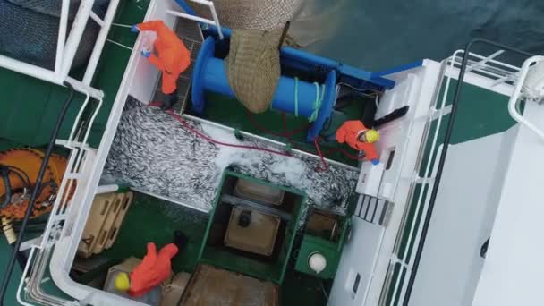 Volare su una nave da pesca commerciale dove le persone che lavorano il pesce. Vista dall'alto verso il basso . — Video Stock