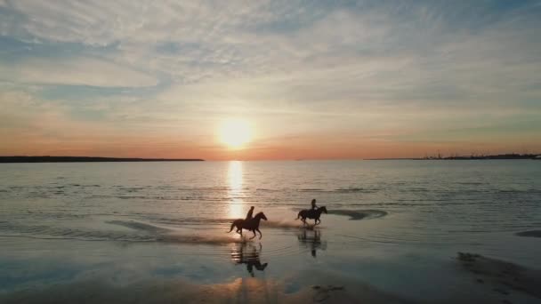 Zwei Mädchen reiten auf Pferden an einem Strand. Pferde laufen dem Meer entgegen. wunderschöner Sonnenuntergang ist in dieser Luftaufnahme zu sehen. — Stockvideo