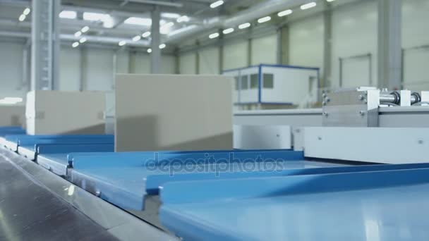 Parcels are Moving on Belt Conveyor at Post Sorting Office. — Stock Video