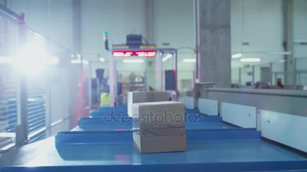 Skiften flyttar på bandtransportör på sortering postkontor. Box Pov. — Stockvideo