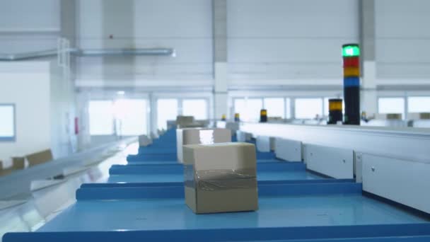 Parcels are Moving on Belt Conveyor at Post Sorting Office. Box POV. — Stock Video