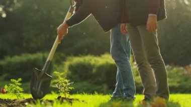 Baba ve oğul Bahçe bir bitki için eğilimi.