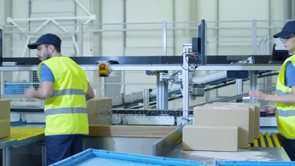 Los trabajadores de la oficina de clasificación postal colocan cajas de cartón en el transportador de banda — Vídeo de stock