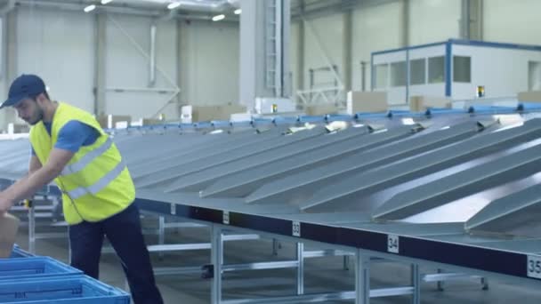 La gente lavora al Post Sorting Center. Giovane uomo e donna Ordina pacchi nelle scatole . — Video Stock