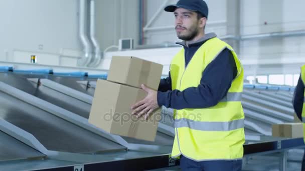 Personas que trabajan en Post Sorting Center. Hispating Etnia Joven lleva cajas de cartón — Vídeos de Stock