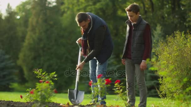 Vader Diggs met een schop in de tuin terwijl zoon horloges. — Stockvideo