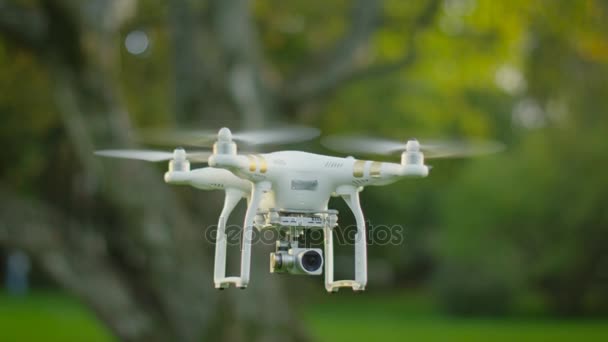 Drone avec la caméra volant dans le parc .