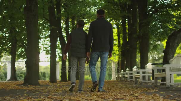 Vater und Sohn gehen im Park spazieren. Foto von der Rückseite. — Stockvideo