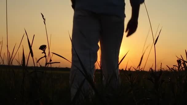 Lugn Man står på ett fält möte Sunset. — Stockvideo