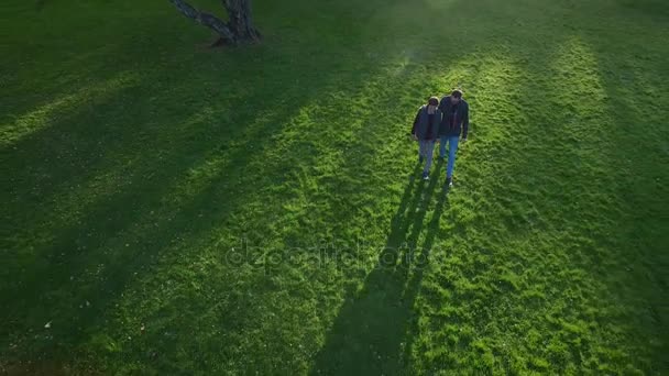 Vater und Sohn gehen im Park spazieren. an einem schönen sonnigen Tag. — Stockvideo