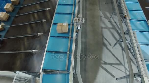 Parcels are Moving on Belt Conveyor at Post Sorting Office. Top Down View. — Stock Video