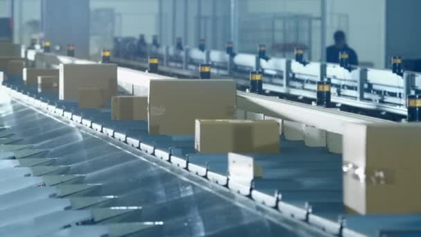 Parcels are Moving on Belt Conveyor at Post Sorting Office. — Stock Video