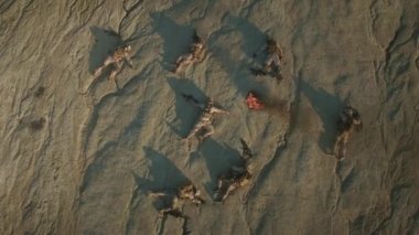 Grup çöl bölgesinde ölü asker üzerinde uçan. Yakınlaştırma.