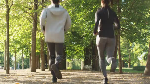 Les gens courent vers l'extérieur Caméra dans le parc à Bright Summer Day — Video