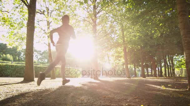 Mujer joven corriendo hacia adelante hacia fuera de la cámara en brillante día soleado — Vídeos de Stock