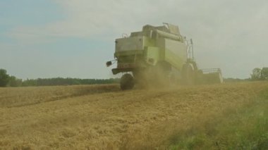 Buğday tarlasında çalışan hasatçıyı birleştirin