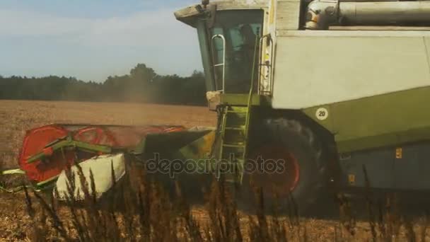 Combinar colheitadeira trabalhando no campo de trigo — Vídeo de Stock