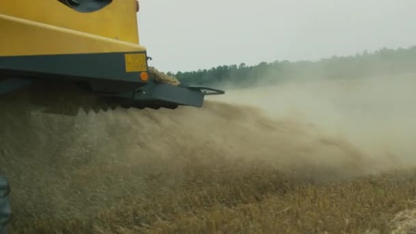 Närbild av arbeta kombinera skördare. — Stockvideo