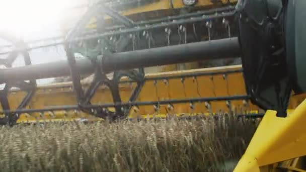 Close-up shot of Working Combine Harvester. — Stock Video